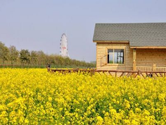 8種最新的農(nóng)業(yè)模式，哪一個(gè)會(huì)成為下一個(gè)“農(nóng)業(yè)風(fēng)口”呢?