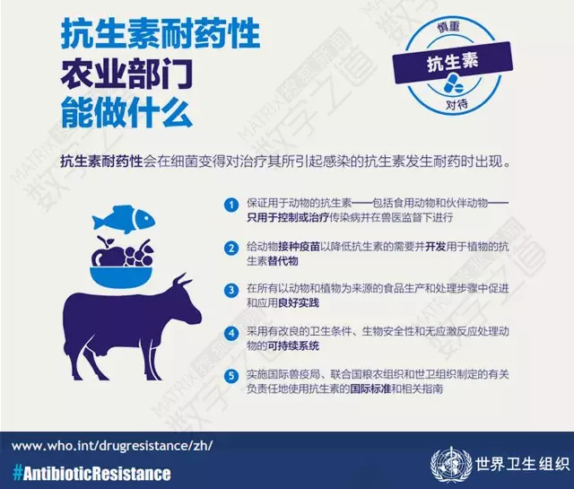 &ldquo;抗生素肉&rdquo;擺滿中國人餐桌，豬肉含量居然是牛肉的5倍!