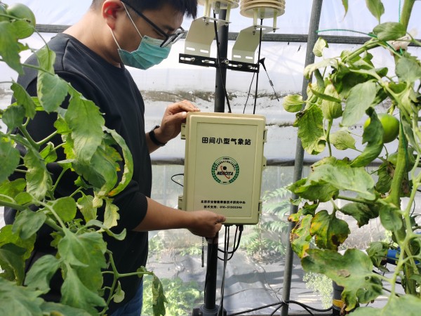 塑料大棚&ldquo;智能化&rdquo;，北京開(kāi)展高效設(shè)施農(nóng)業(yè)用地試點(diǎn)