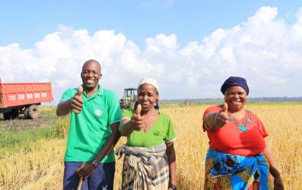 &ldquo;中國農技&rdquo;&ldquo;中國農機&rdquo;&ldquo;中國農場&rdquo;助力非洲農業(yè)發(fā)展