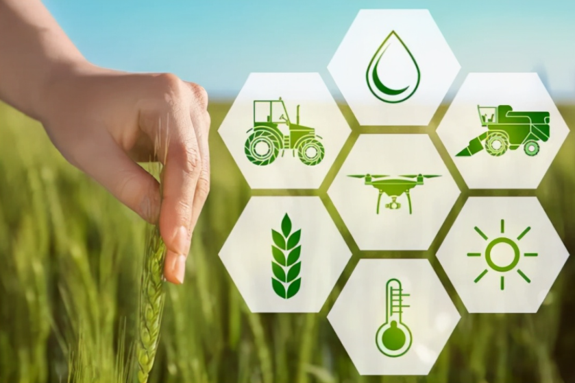 振興鄉(xiāng)村：大力發(fā)展智慧農(nóng)業(yè)，智慧農(nóng)業(yè)迎來春天