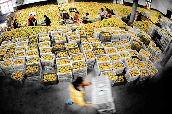 大地量子 “數(shù)字地球PaaS平臺” 被評為2021數(shù)字鄉(xiāng)村大腦十強