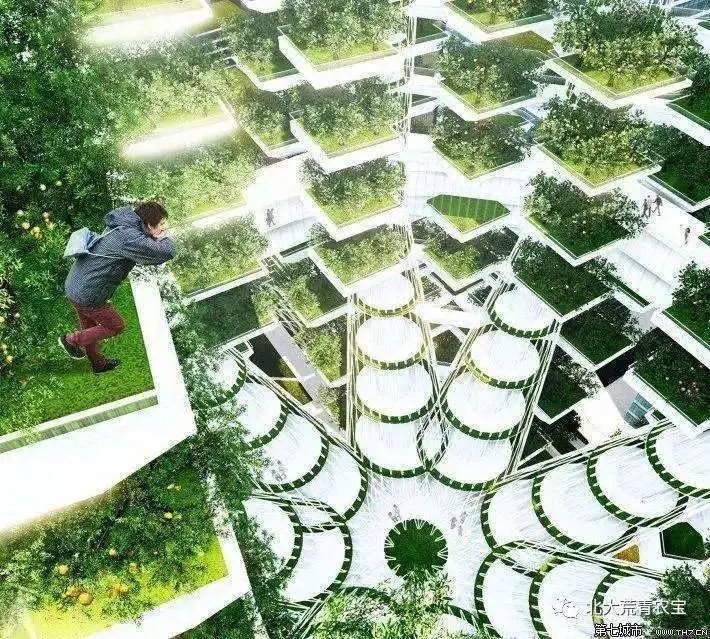 資本青睞的“垂直農(nóng)業(yè)”，能代表農(nóng)業(yè)的未來(lái)嗎？