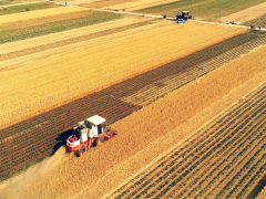 李天祥 鐘鈺：高質(zhì)量建設國家糧食安全產(chǎn)業(yè)帶