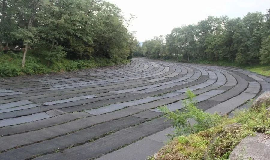 日本百年芥末農場：精耕單品，專注美食，以靜制動